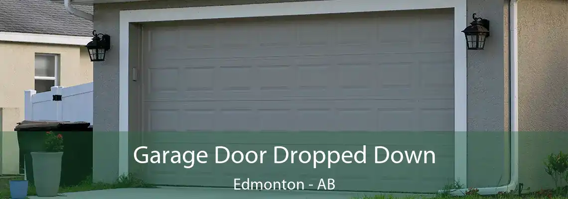 Garage Door Dropped Down Edmonton - AB