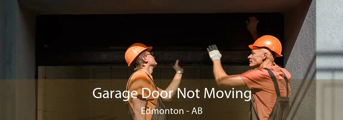 Garage Door Not Moving Edmonton - AB