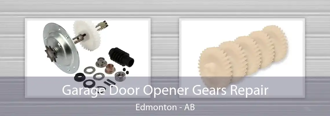 Garage Door Opener Gears Repair Edmonton - AB