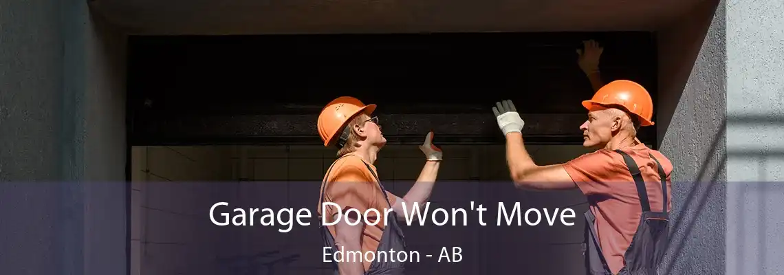 Garage Door Won't Move Edmonton - AB